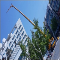 성원크레인 PC 갤러리 3